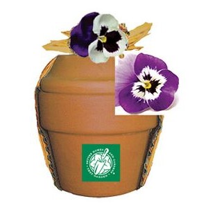 Deluxe Plant Kit w/Pansy Seeds