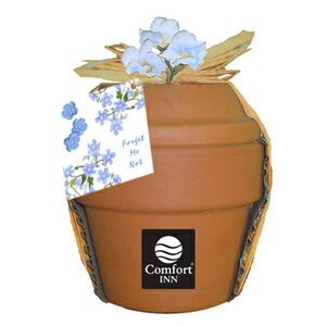 Deluxe Plant Kit w/Forget-Me-Not Seeds