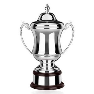 Swatkins Supreme Plain Trophy Cup Award