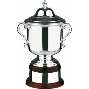 Swatkins Supreme League Champion's Plain Cup Award