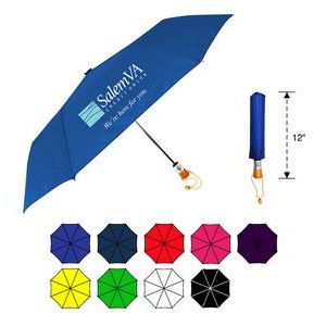 3-Sections Auto Open Umbrella (44