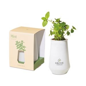 Modern Sprout Tapered Tumbler Grow Kit - White-Mint