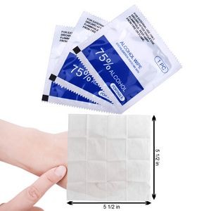 PPE Disposable Alcohol Wipes