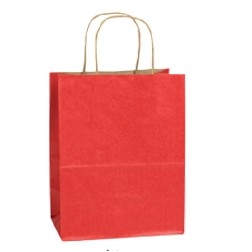 Chocolate Brown Chimp Natural Tint w/ Shadow Stripe Paper Shopping Bag