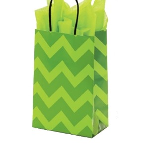 Bold Chevron Toucan Printed Paper Shopping Bag