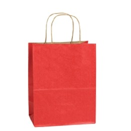 Terra Cotta Orange Chimp Natural Tint w/ Shadow Stripe Paper Shopping Bag