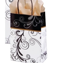 Elegant Flourish Toucan Printed Paper Shopping Bag