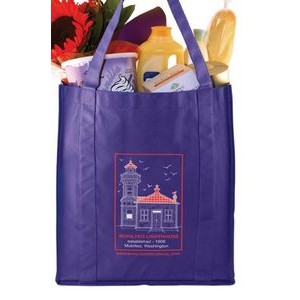 Chocolate Brown Non-Woven Grocery Bag (12"x8"x13")