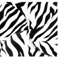 Zebra Stripe 6"x6" Gift Card Folder