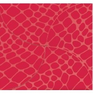 Red Croc 6"x6" Gift Card Folder