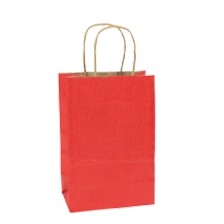 Toucan Chocolate Brown Paper Shopping Bag (5 1/2"x3 1/4"x8 3/8")