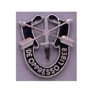 Special Forces Military Crest Pin