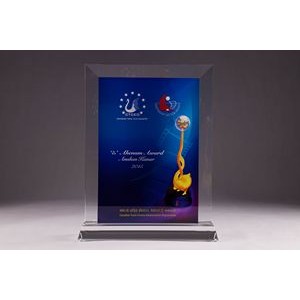 2D Vertical Crystal Award w/Beveled Back and Base Size 4 (8 x 10 x 5/8")