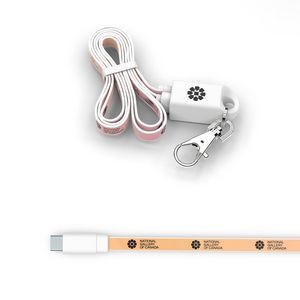 Lanyard Type C: 2-in-1 lanyard and USB C charging cable