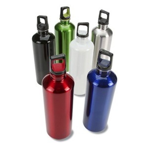 Aluminum Sports Bottle w/ Plastic Lid & Metal Hook
