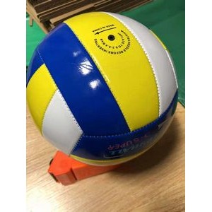 Standard volleyball