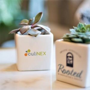 Appreciation Gift Kit-Live Succulent Plant With Ceramic Pot