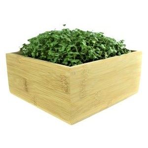 Microgreens Desktop Grow Kit