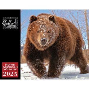 Galleria Wall Calendar 2025 North American Wildlife