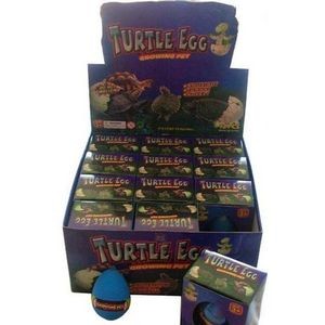Turtle Hatch Em Eggs - Ages 3+, Inedible (Case of 144)