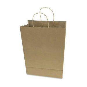 Brown Paper Shopping Bags - Large, 2 Handles, 50 Pack (Case of 6)