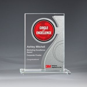 Silver Express Excellence Medium Award