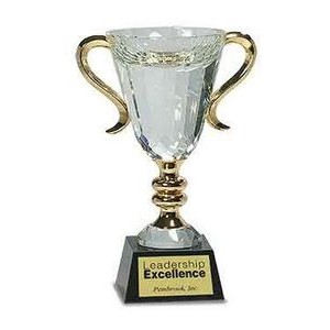 Crystal Trophy Cup of Praise, 10