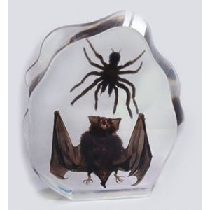 Lucite Paperweights with Real Bat and Tarantula, 7 x 6.6 x 1.4"
