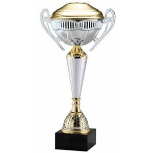Silver Spotlight Trophy Cup 15 1/2