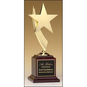 Modern Star Award on Rosewood Base 13"H