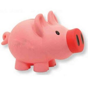 Jumbo Piggy Bank