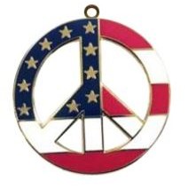USA Peace Charm