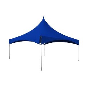 Marquee With Solid Color Vinyl Top (20'x20')