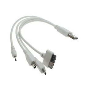 4-in-1 Charging Cable