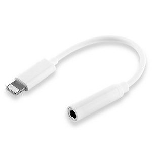AUX to iPhone® Cable Adapter