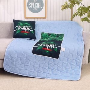 Custom Foldable Blanket & Cushion