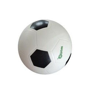 School Soccer Ball