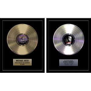 Framed 12" Gold / Platinum 33 1/3 LP Record Award