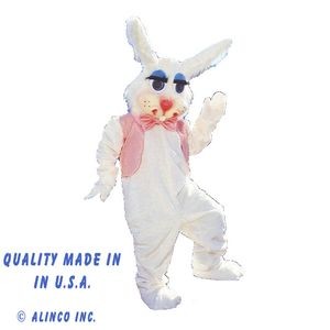 Rabbit Mascot Character Costume