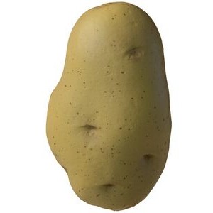 Potato Stress Reliever