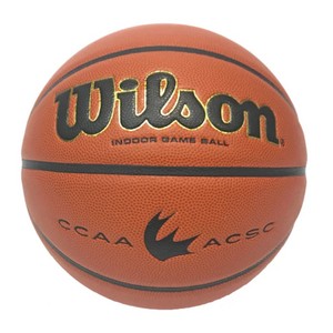 Wilson CCAA Evolution Game Ball