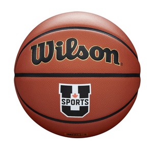 Wilson U Sports Evolution Game Ball Basketball