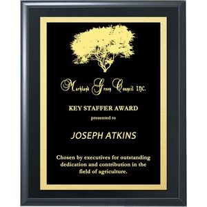 Solid Black Finish Lasered Plate Award Plaque 8"x10"