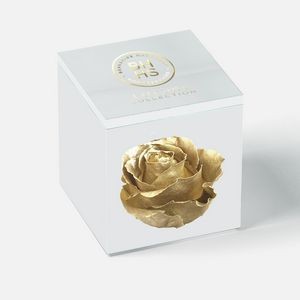 USA Made Premium Preserved Rose in Acrylic Box (4 Options)
