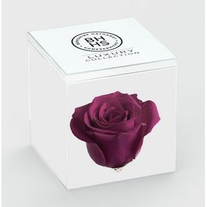 USA Made Deluxe Preserved Rose in Acrylic Box (13 Color Options)