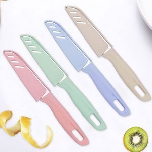 Stainless Steel Fruit Knife With Sleeve