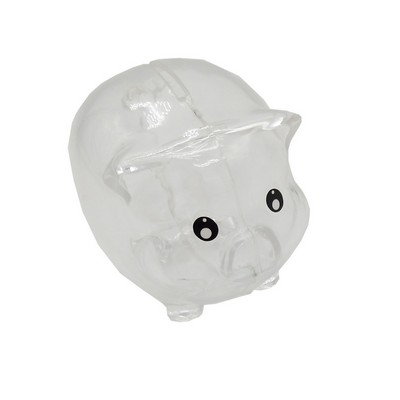 Plastic Transparent Piggy Bank
