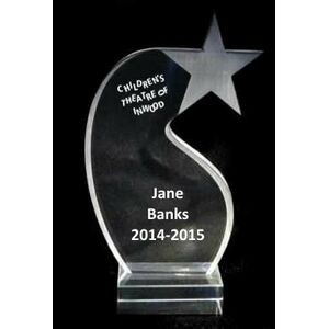EXCLUSIVE! Acrylic and Crystal Engraved Award - 7" Tall Shooting Star
