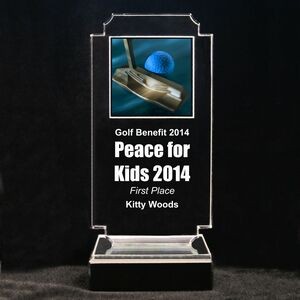 Acrylic and Marble Engraved Award - 8-3/4