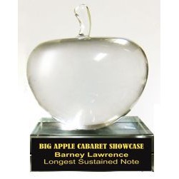 Solid Crystal Engraved Paperweight - Apple - 3